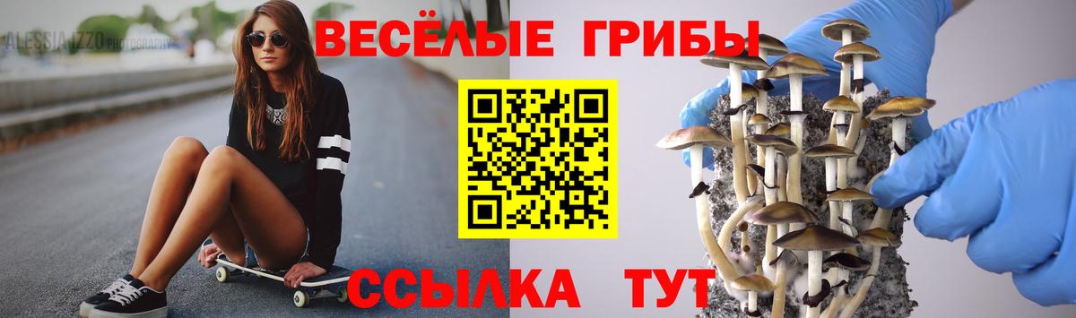 Карталы  Псилоцибиновые грибы мицелий  где купить наркоту  Вход с VPN  Псилоцибиновые грибы GOLDEN TEACHER 